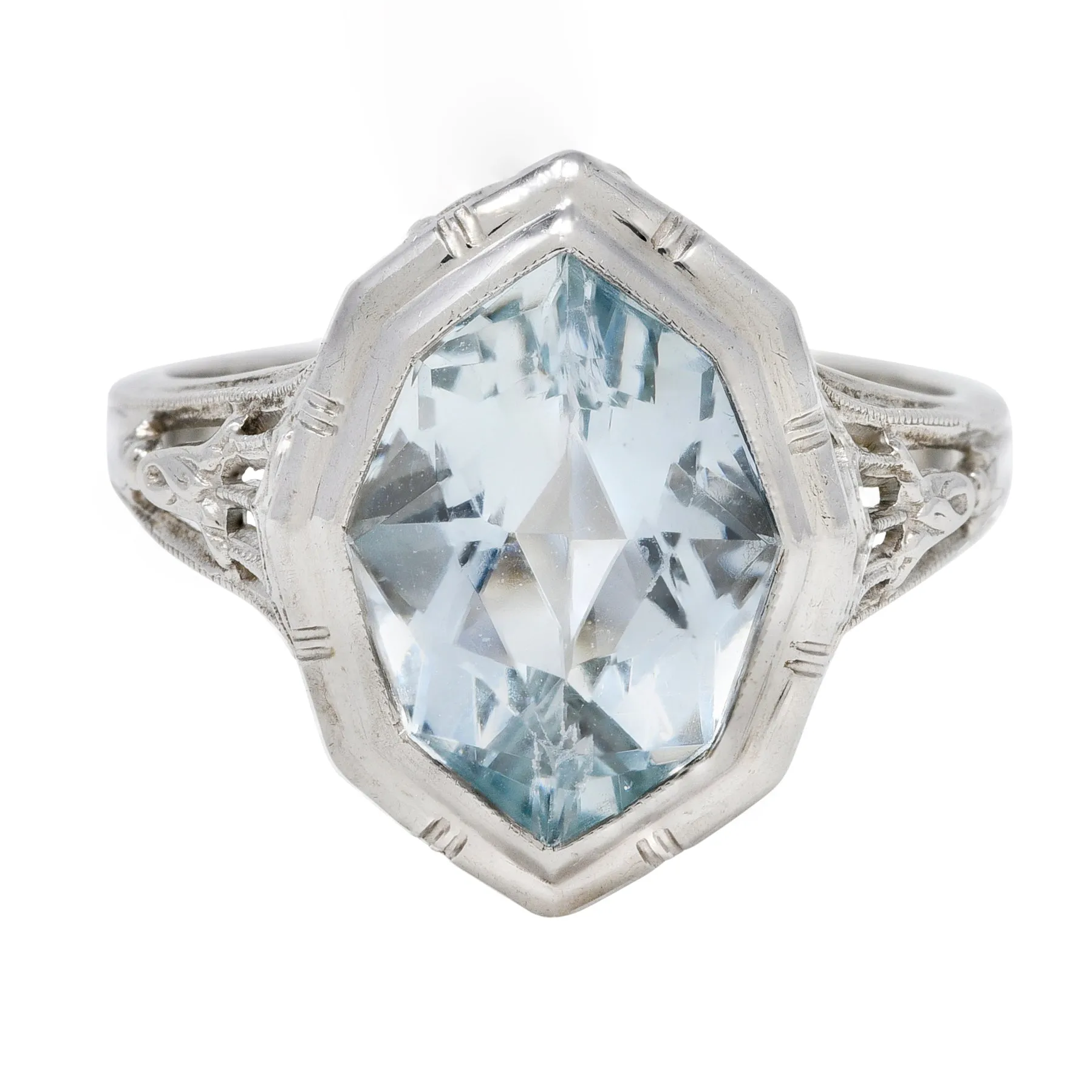 Jones & Woodland Co. Art Deco Hexagonal Cut Aquamarine 14 Karat White Gold Lily Gemstone Ring