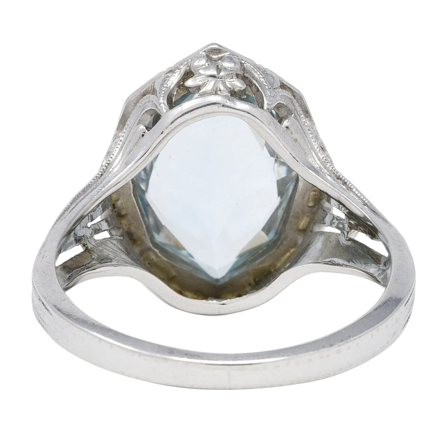 Jones & Woodland Co. Art Deco Hexagonal Cut Aquamarine 14 Karat White Gold Lily Gemstone Ring