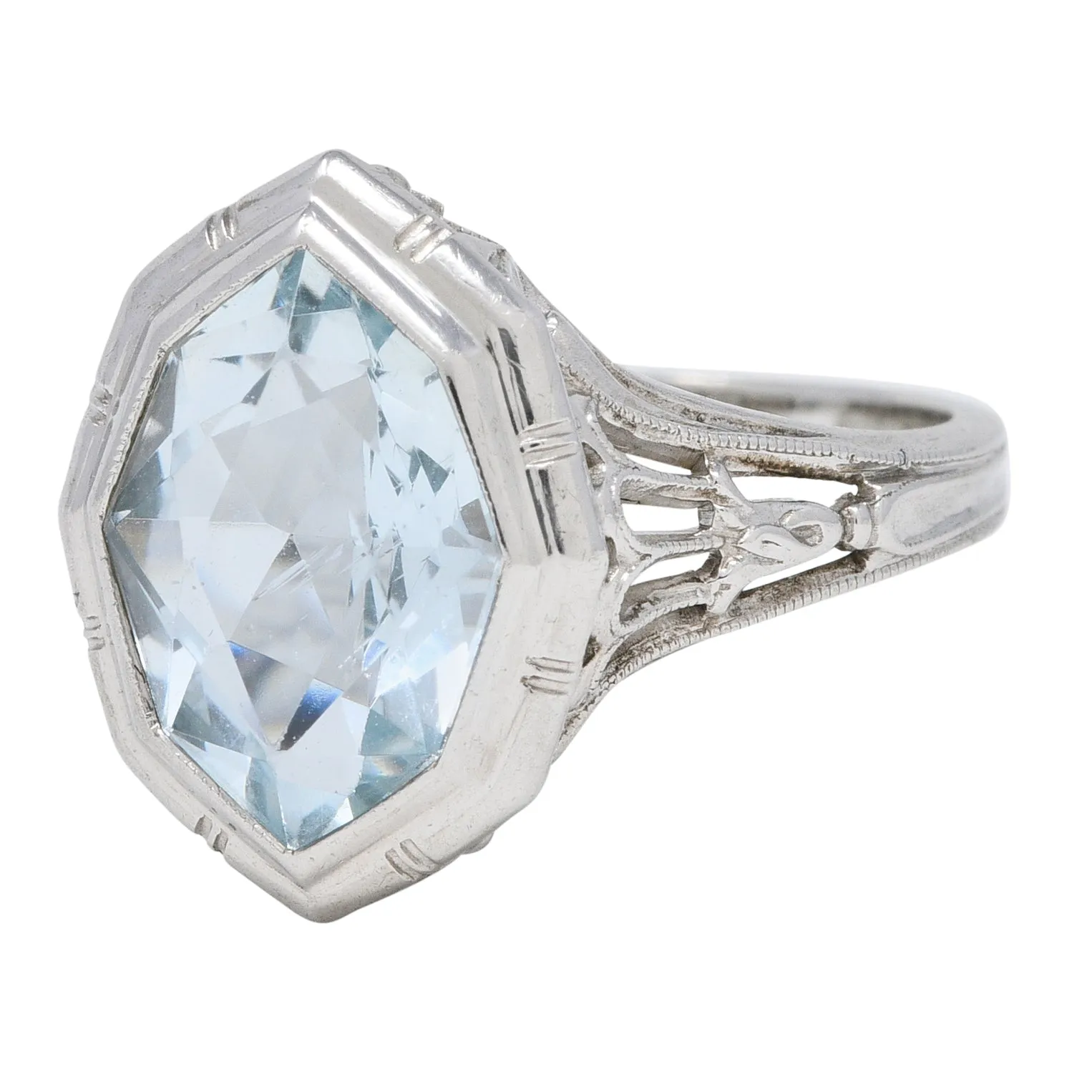 Jones & Woodland Co. Art Deco Hexagonal Cut Aquamarine 14 Karat White Gold Lily Gemstone Ring