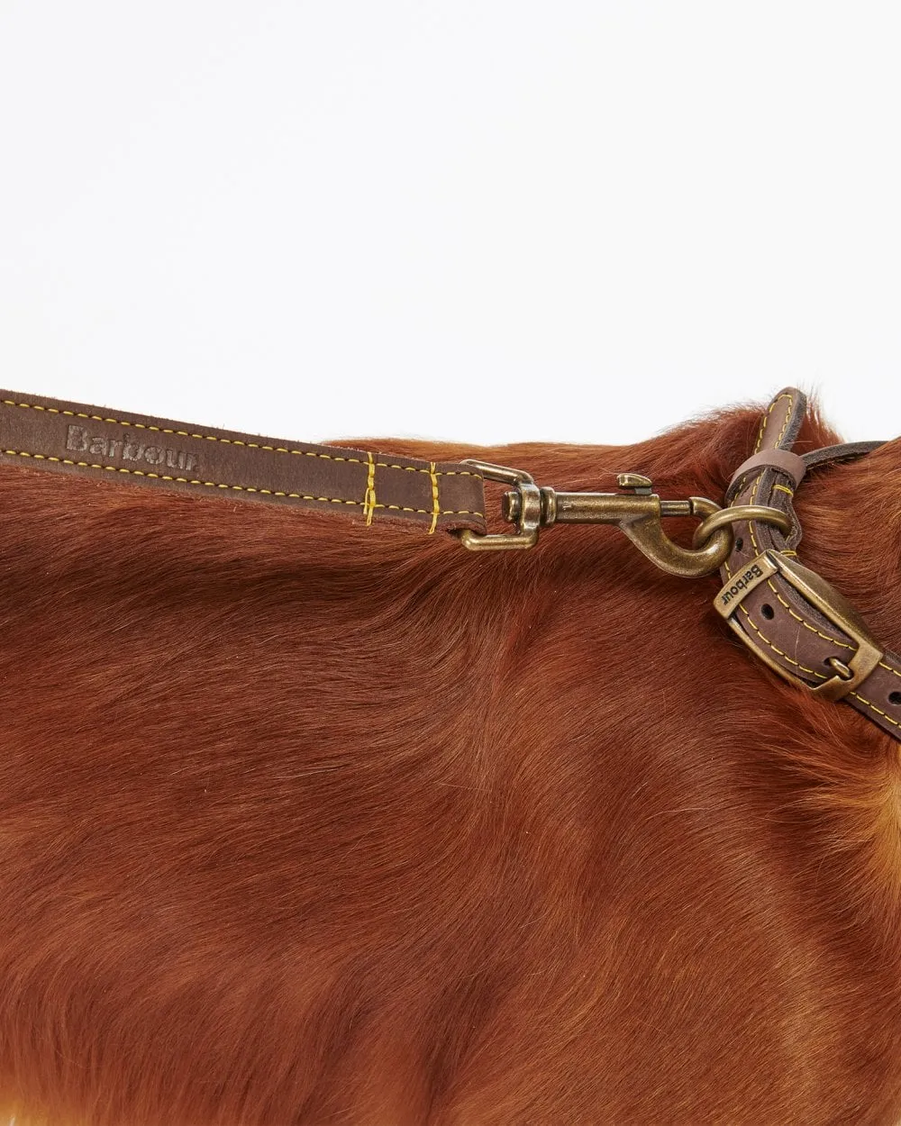 Leather Dog Lead