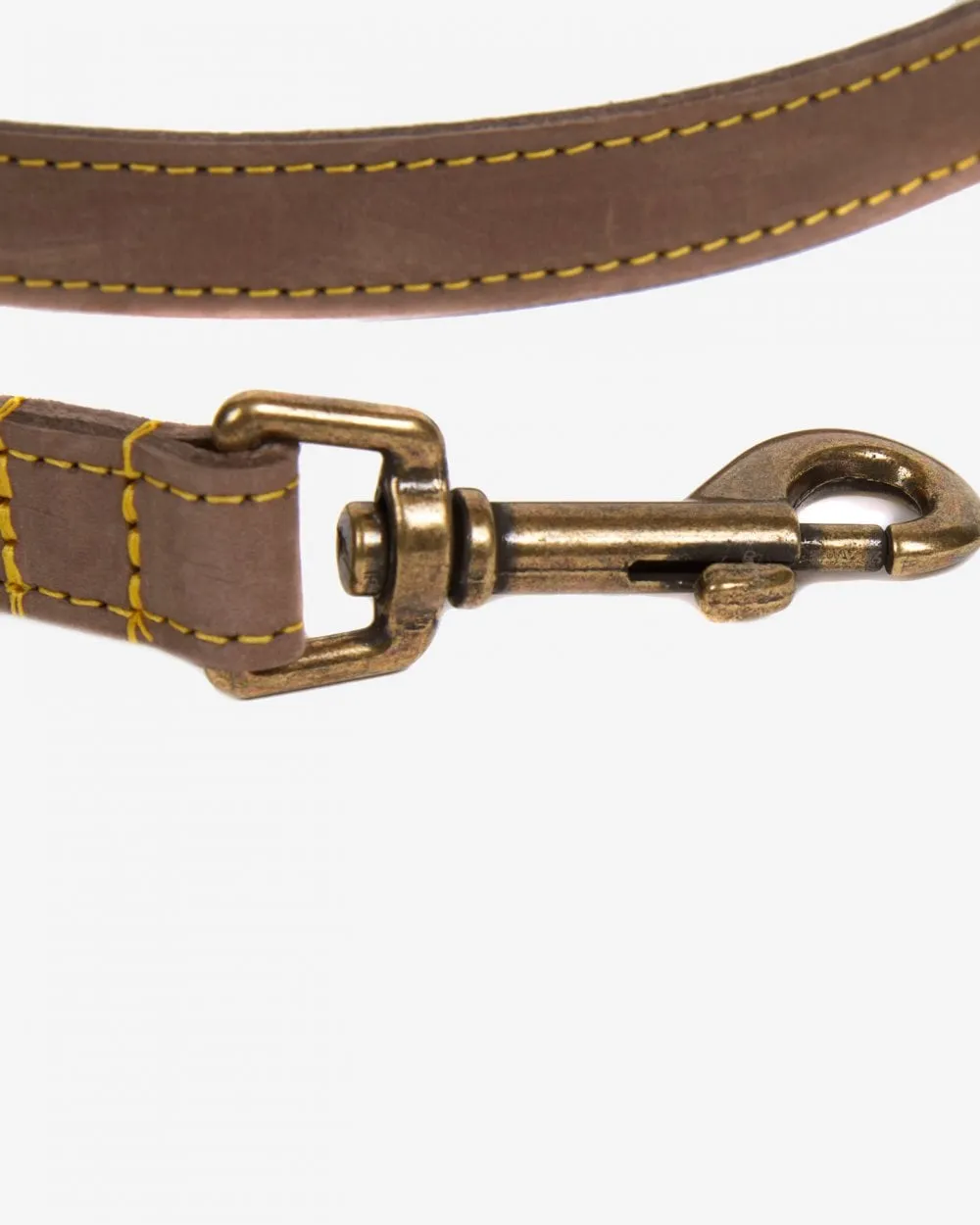 Leather Dog Lead