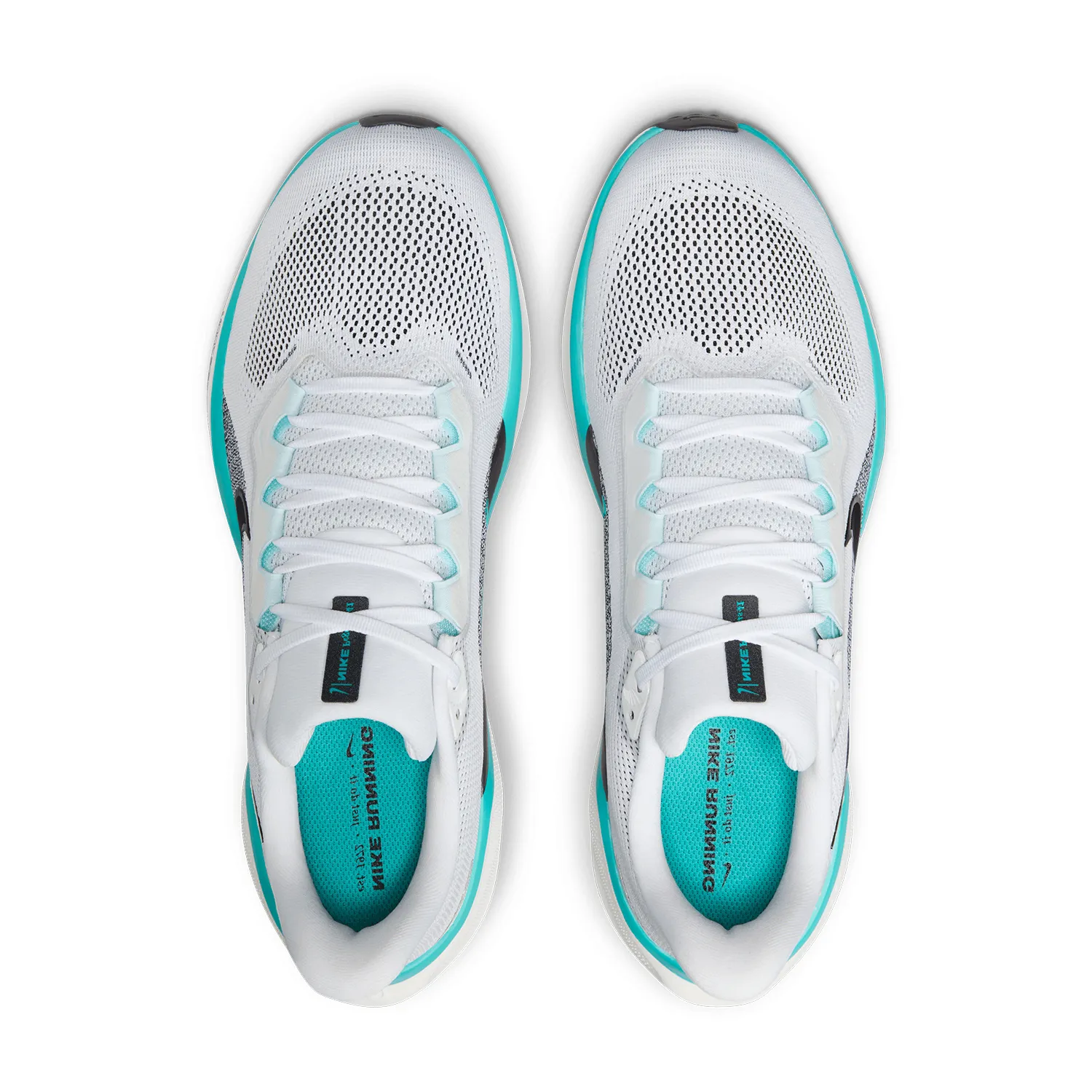 Nike Pegasus 41  White/Dusty Cactus/Black/Glacier Blue